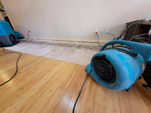 Professional Flood Damage Cleanup technician working in West, TX